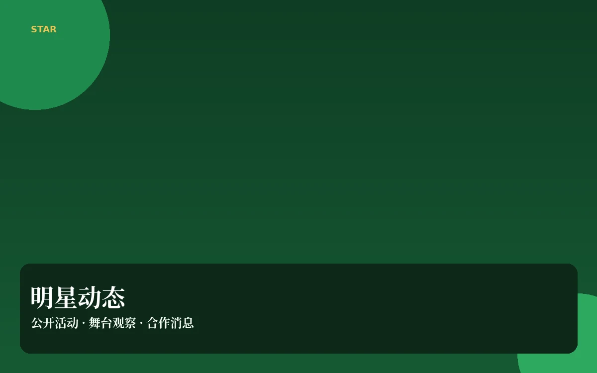 明星动态公开资料导览
